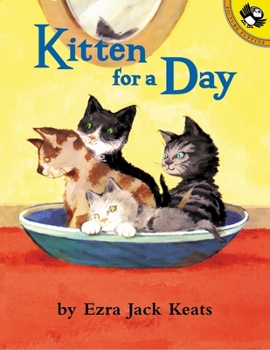 Paperback Kitten for a Day Book
