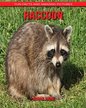 Raccoon: Fun Facts and Amazing Pictures