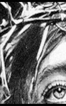 Paperback Tegninger [Danish] Book