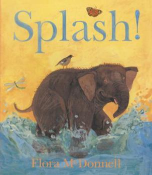 Board book Splash! Book