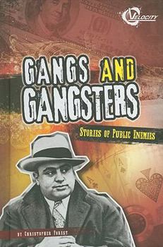 Library Binding Gangs and Gangsters: Stories of Public Enemies Book