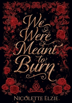 Hardcover We Were Meant to Burn Book