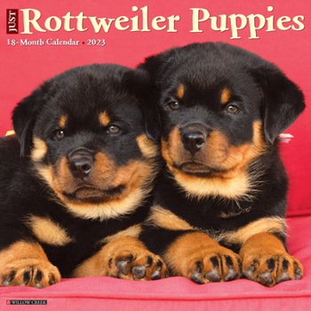 Calendar Just Rottweiler Puppies 2023 Wall Calendar Book