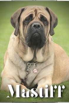 Paperback Mastiff: Dog breed overview and guide Book