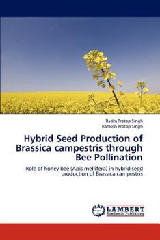 Paperback Hybrid Seed Production of Brassica campestris through Bee Pollination Book