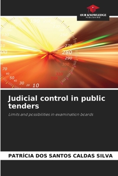 Paperback Judicial control in public tenders Book