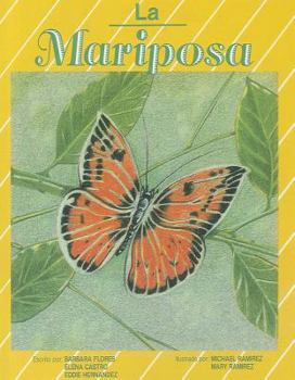 La Mariposa, Single Copy, Pinata, Stage 1