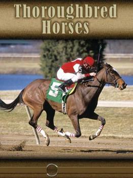 Hardcover Thoroughbred Horses (Eye to Eye With Horses) Book