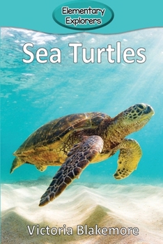 Paperback Sea Turtles Book