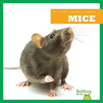 Library Binding Mice Book