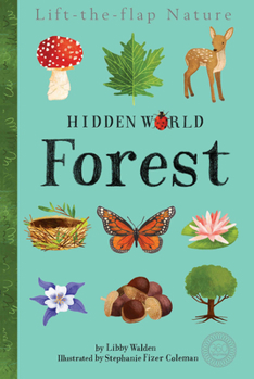 Hardcover Hidden World: Forest Book