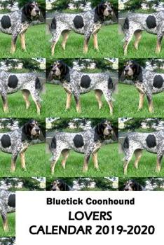 Paperback Bluetick Coonhound Lovers Calendar 2019-2020 Book