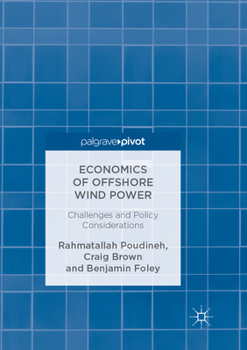 Paperback Economics of Offshore Wind Power: Challenges and Policy Considerations Book