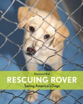 Hardcover Rescuing Rover: Saving America's Dogs Book