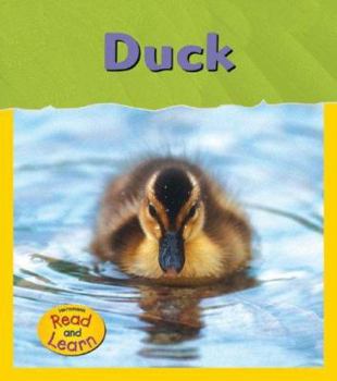 Duck (Life Cycles/Read & Learn) - Book  of the Life Cycles