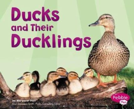 Hardcover Ducks and Their Ducklings Book