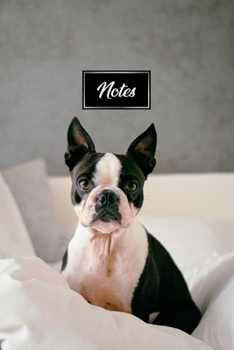 Boston Terrier Dog Pup Puppy Doggie Notebook Bullet Journal Diary Composition Book Notepad - Sitting in Bed: Cute Animal Pet Owner Composition Book ... Plain Blank Paper Pages in 6” x 9” Inch