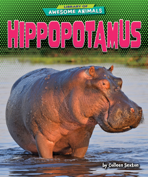 Library Binding Hippopotamus Book