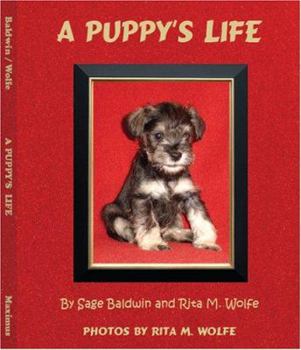 Hardcover A Puppy's Life Book