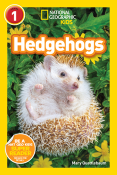 Paperback National Geographic Readers: Hedgehogs (Level 1) Book