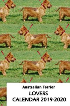 Paperback Australian Terrier Lovers Calendar 2019-2020 Book