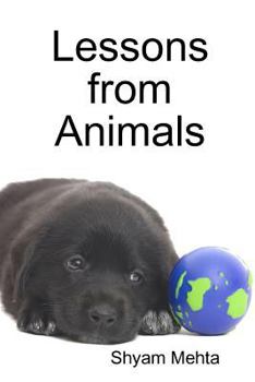 Paperback Lessons from Animals Book