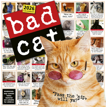 Calendar Bad Cat Wall Calendar 2026: Celebrating the Misfits of the Feline World Book