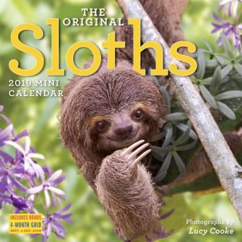 The Original Sloths 2019 Calendar