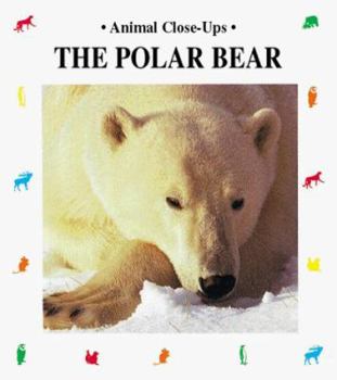 The Polar Bear (Animal Close-Ups) - Book  of the Animal Close-Ups