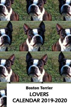 Paperback Boston Terrier Lovers Calendar 2019-2020 Book