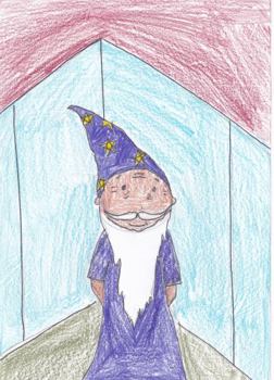 Paperback The Chimpanzee Wizard Book