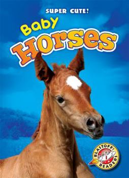 Baby Horses - Book  of the Super Cute!