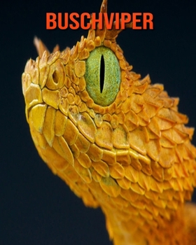Buschviper: Sagenhafte Fotos & Buch mit lustigem Wissen ?ber Buschviper f?r Kinder