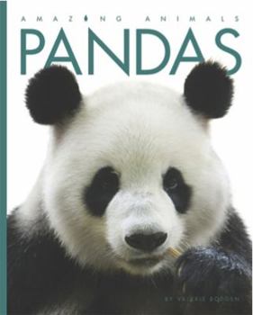 Pandas - Book  of the Amazing Animals