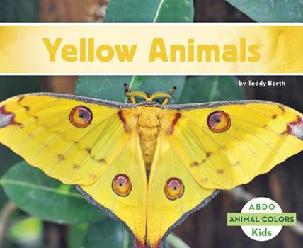 Yellow Animals - Book  of the Animal Colors