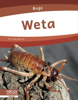 Paperback Weta Book