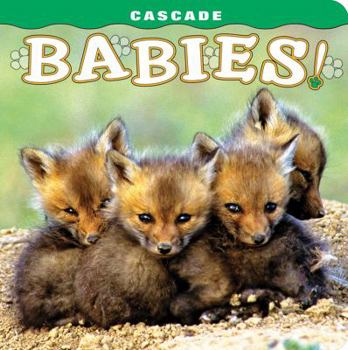 Board book Cascade: Babies! Book
