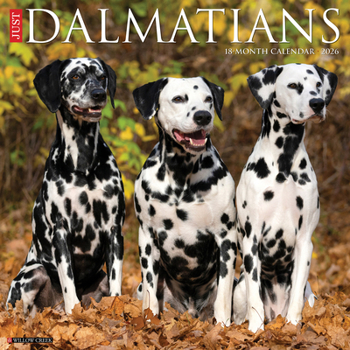 Dalmations 2026 Wall Calendar