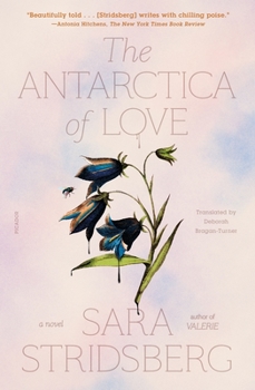 Paperback The Antarctica of Love Book
