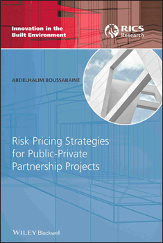 Hardcover Risk Pricing Strategies for Public-Private Partnership Projects Book