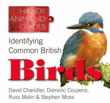 Paperback Identifying Common British Birds Book