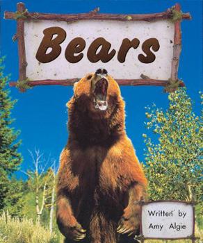 Paperback Bears Book