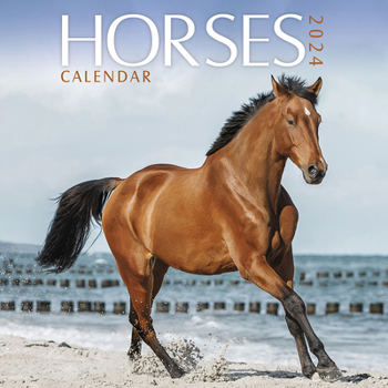 Calendar 2024 Horses Mini Wall Calendar Book