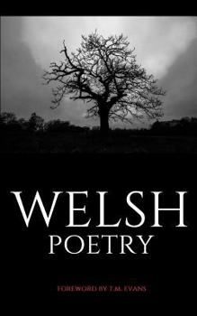 Welsh Poetry : Disguised Secret Hidden Password Organizer Log