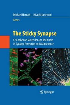 Paperback The Sticky Synapse: Cell Adhesion Molecules and Their Role in Synapse Formation and Maintenance Book