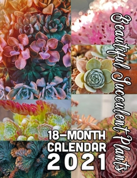 Paperback Beautiful Succulent Plants 18-Month Calendar 2021: October 2020 through March 2022 Book