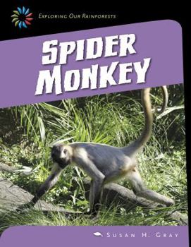 Library Binding Spider Monkey Book