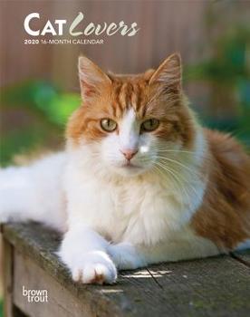 Cat Lovers 2020 6 x 7.75 Inch Weekly Engagement Calendar, Animals Domestic Cats