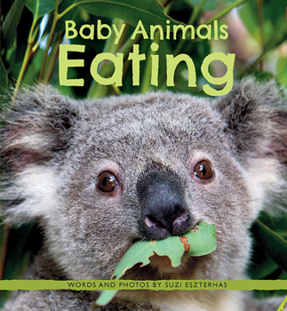 Paperback Baby Animals Eating Book