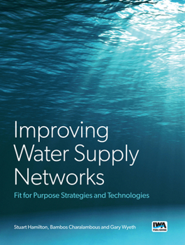 Hardcover System Losses from Water Supply Networks Book